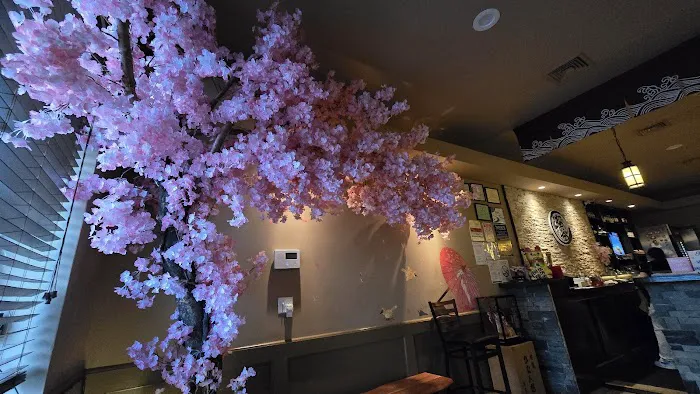 Sakuratani Ramen & Izakaya Picture 8