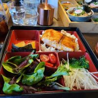 Y Noodle & Bar ico