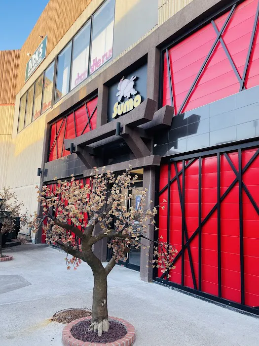 Sumo Japanese Steakhouse MA Picture 7