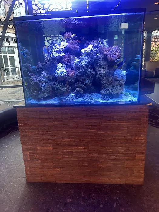 Jacky's Waterplace & Sushi Bar Picture 8