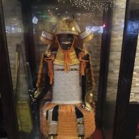 Shogun ico