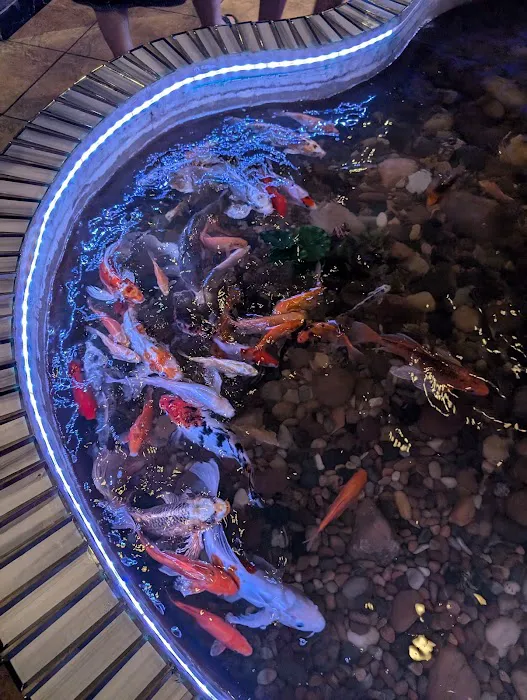 Kobe sushi&hibachi Japanese Restaurant Picture 2