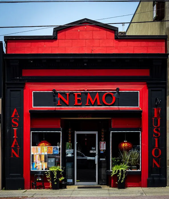 Nemo Picture 1