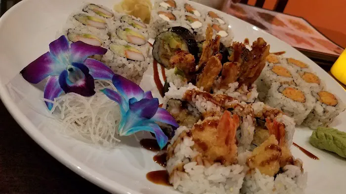 Nemo Picture 2