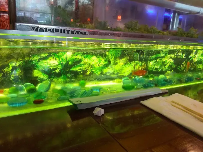 Izu Sushi Japanese Restaurant Picture 2