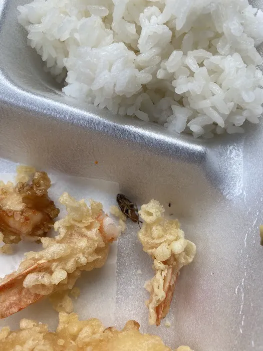 Lee's Sushi Picture 7
