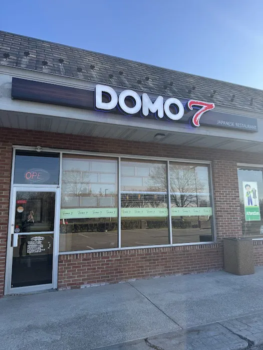 Domo 7 Japanese Restaurant Picture 3