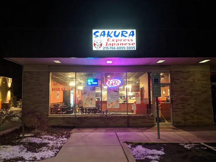 Sakura Express Picture 2