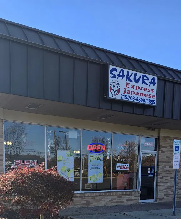 Sakura Express Picture 6