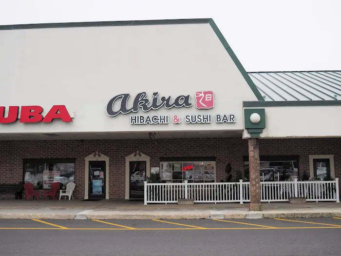 Akira Picture 3