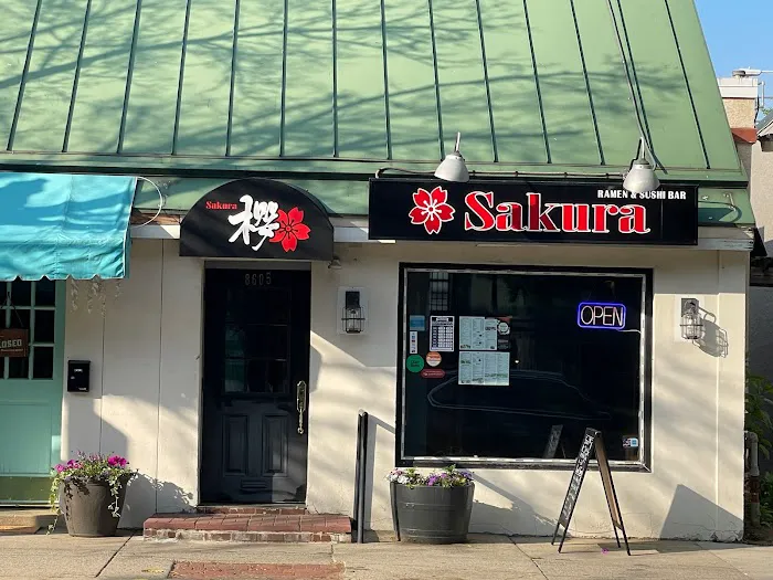 Sakura Ramen & Sushi bar Picture 10