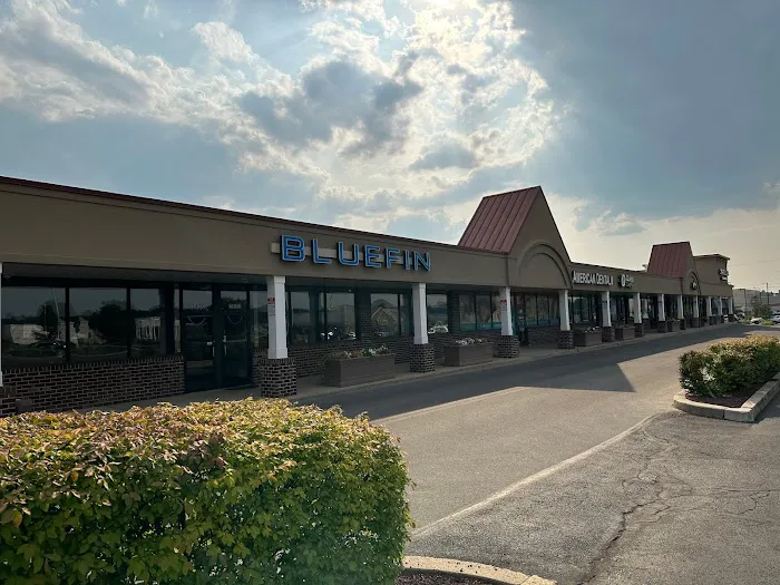 Bluefin Restaurant Picture 8