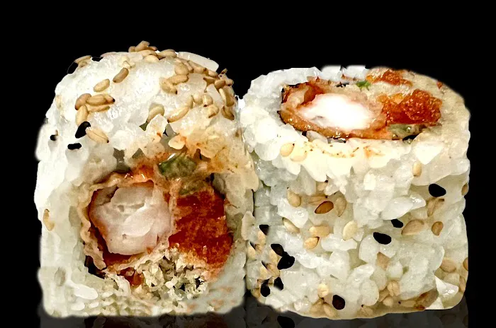 Fat Salmon Sushi Picture 3