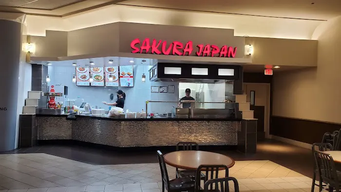 Sakura Japan Picture 2
