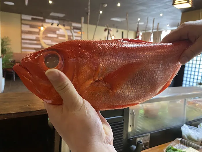 Sushi Nami Paoli Picture 6