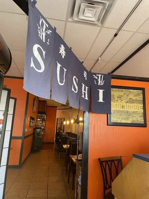 Yama Japanese Cuisine Picture 9