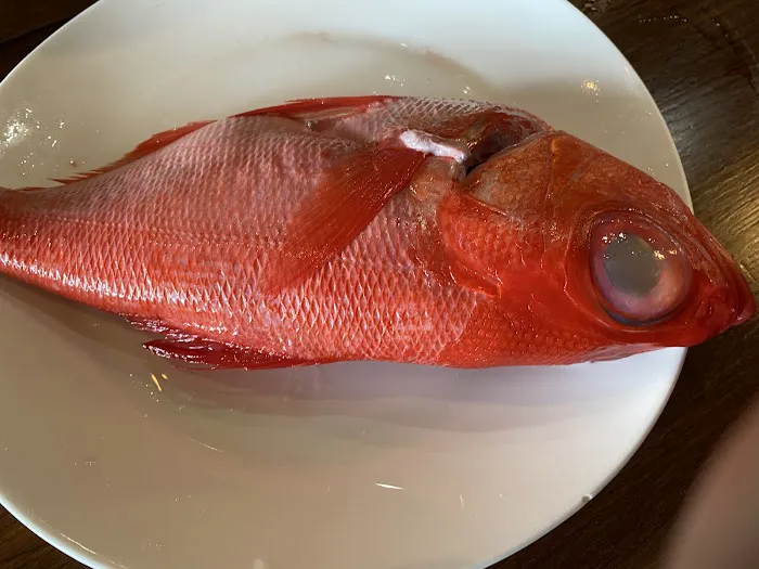 Sushi Nami Wayne Picture 6