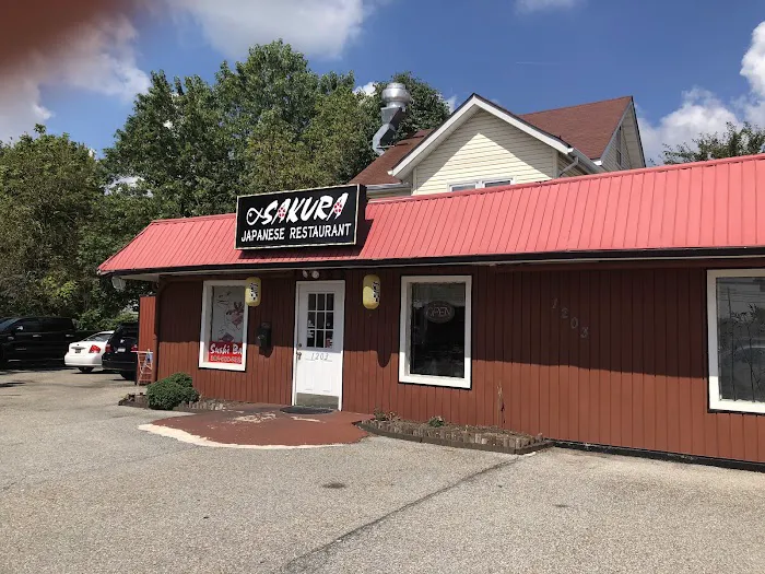 Sakura Japanese Sushi in Elsmere Picture 4