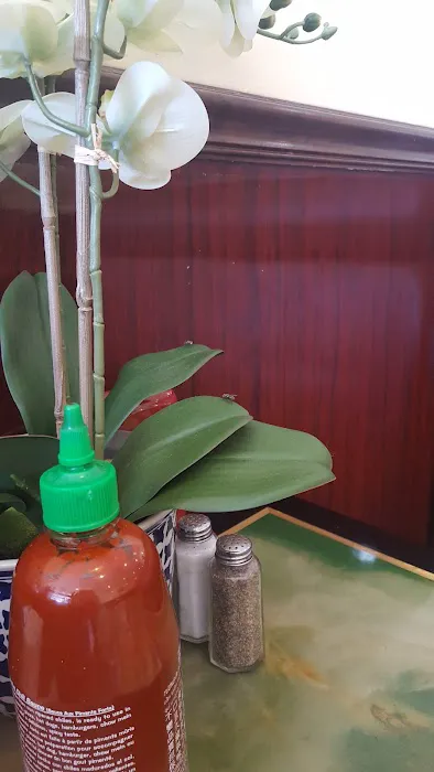 Osaka Express Picture 2
