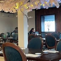 Wasabi Kaizen ico