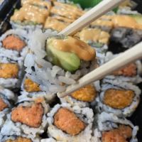 Shogun ico