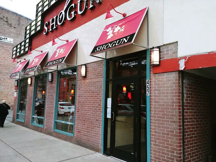 Shogun Picture 3