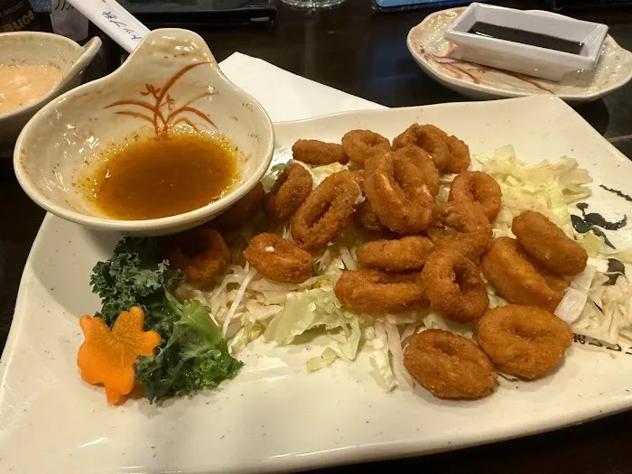 Mr. Fuji Sushi & Hibachi - Clifton Park Picture 5