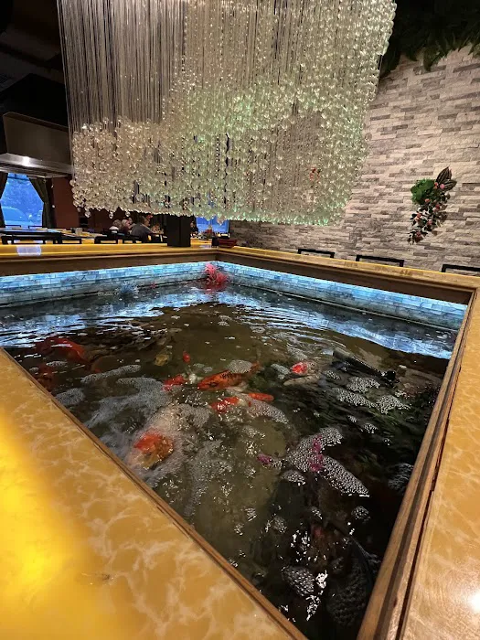 Azuma Sushi Bistro Picture 6