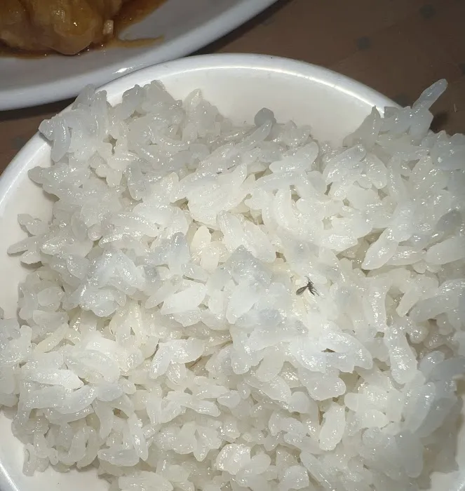 Asahi Restaurant and Bar Picture 6