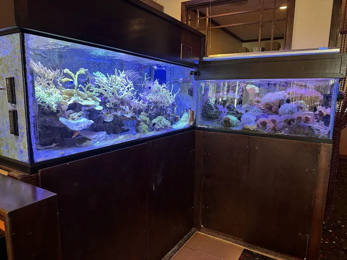 Asahi Restaurant and Bar Picture 8