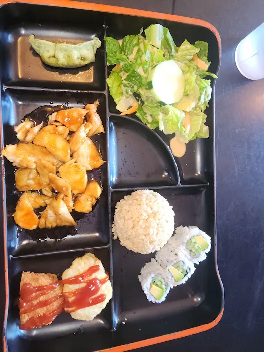 Village Sushi & Grill Picture 2