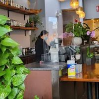 Chiharu Sushi & Noodle ico