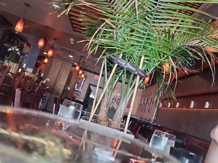 Typhoon Asian Bistro Picture 6