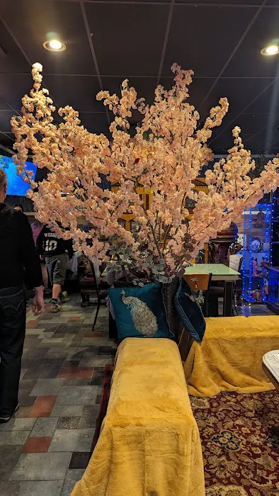 Ying's Sushi Bar & Lounge Picture 8