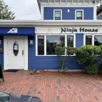 Ninja house