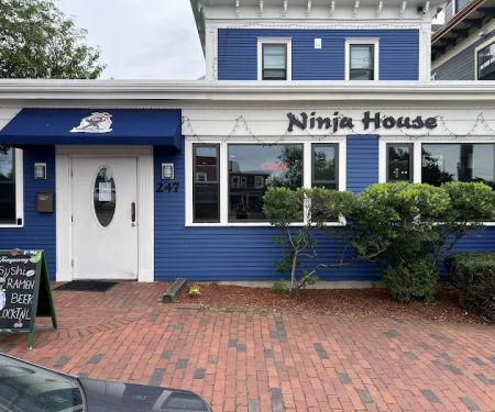 Ninja house