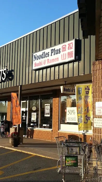 Noodles Plus Picture 3