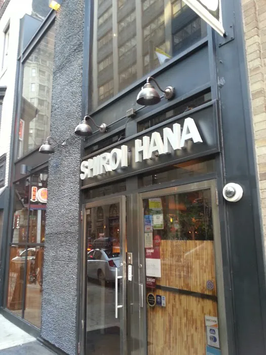 Shiroi Hana Picture 1