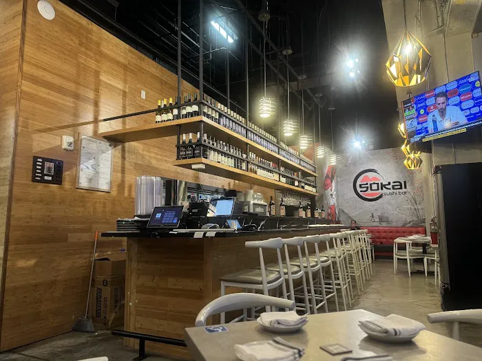 Sokai Sushi Bar Downtown Picture 1
