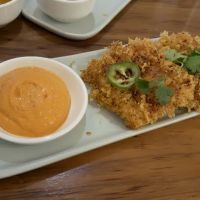 Uchi Miami ico