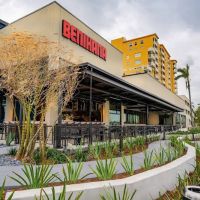 Benihana ico