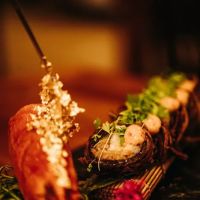 Miami Sushi Club ico