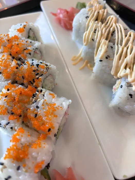 Iron Sushi Picture 2