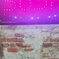 Sushi Express /Catering Too ico