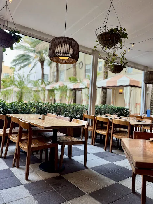Blue Ribbon Sushi Bar & Grill - South Beach Picture 4