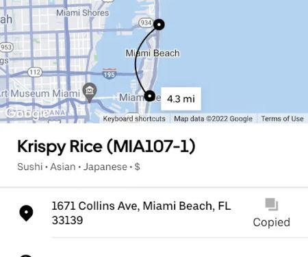 Krispy Rice