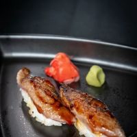 🇮🇹🍣 MAGNASUSHI 🍣🇮🇹 ico