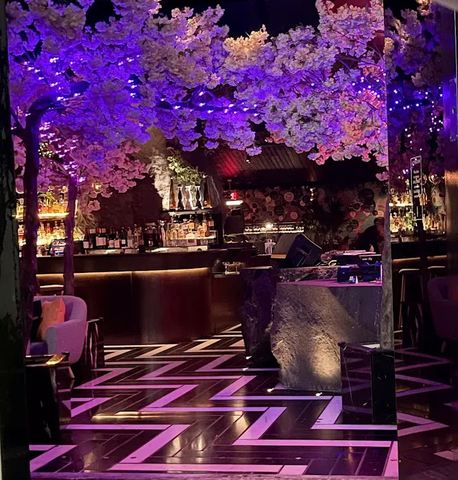 Chotto Matte Miami Picture 3