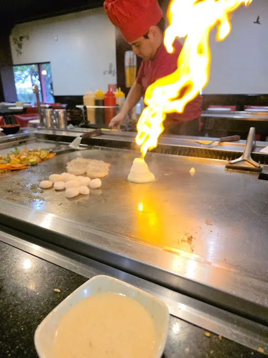 Umami Japanese Restaurant Picture 6