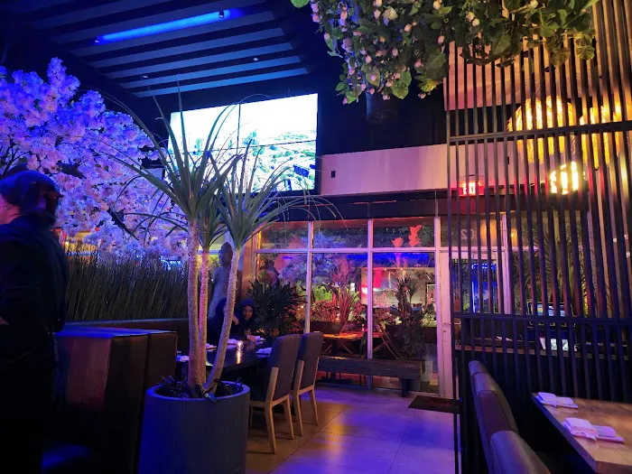 Sushi Sake Pembroke Pines Picture 6